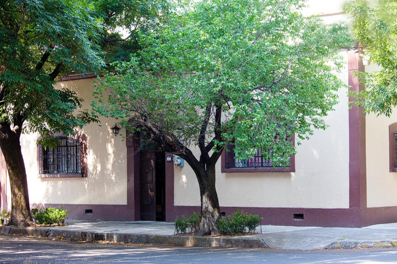 Meztli: Casa Boutique & Spa Мехико Экстерьер фото