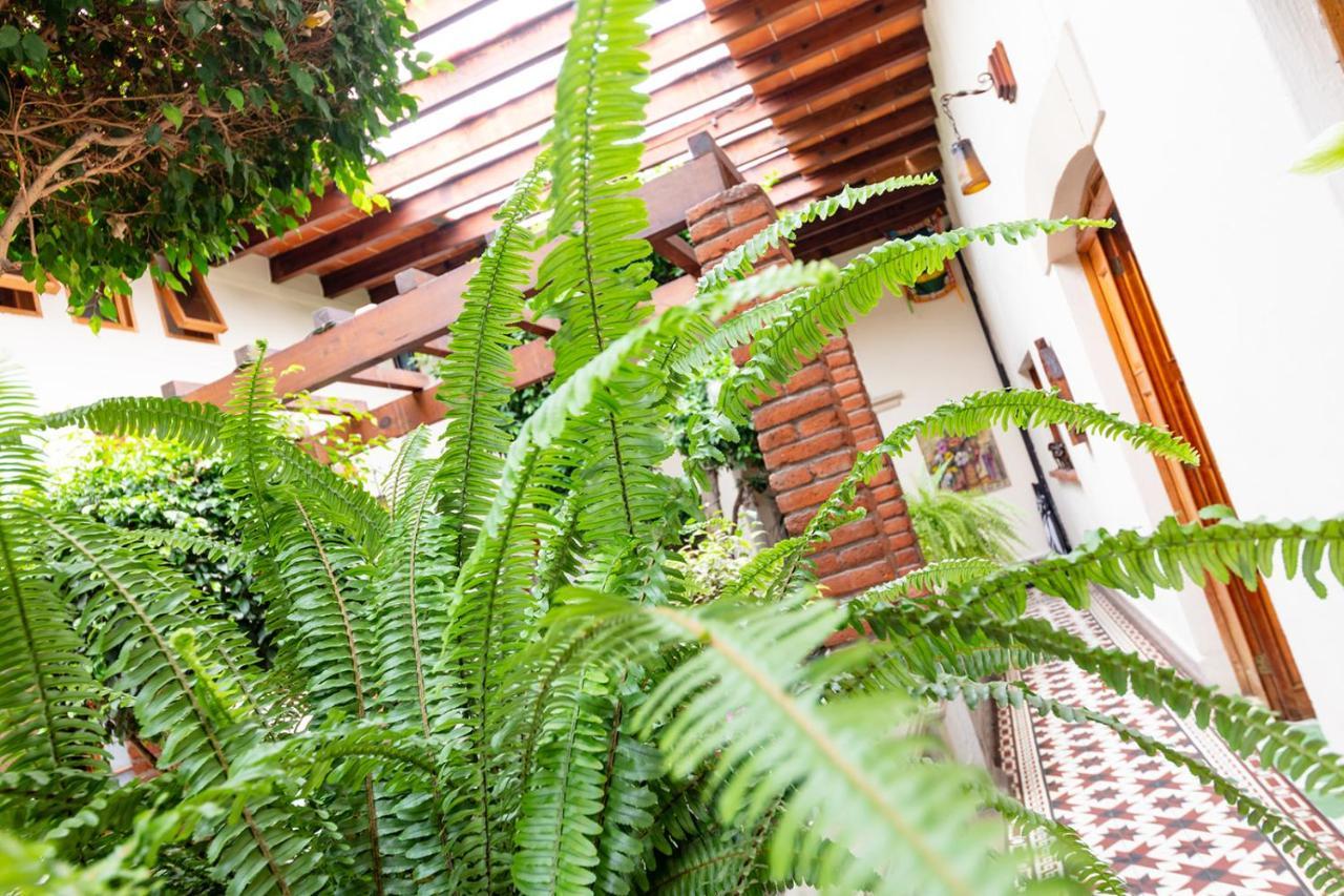 Meztli: Casa Boutique & Spa Мехико Экстерьер фото